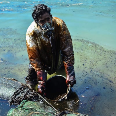 Mies kerää merestä öljyä ämpäriin.