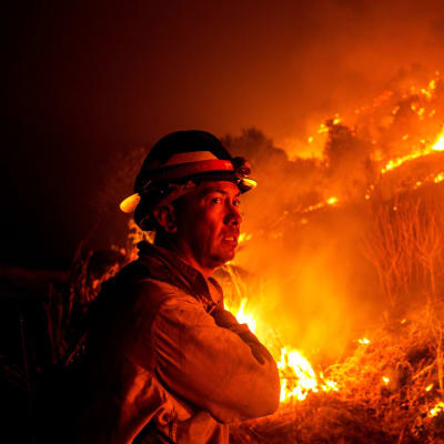 Palomies katselee palavaa maastoa Monrovia Canyon Parkissa Kaliforniassa.