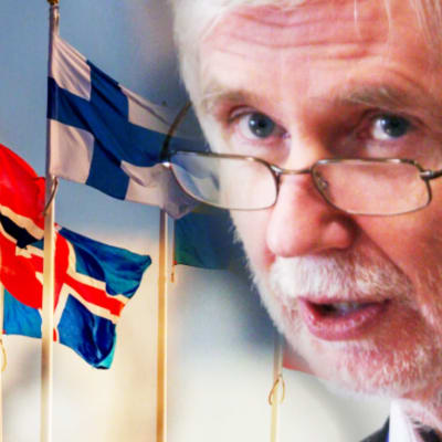 Erkki Tuomioja framför nordiska flaggor