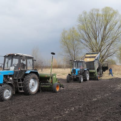 Viljelijöitä traktoreineen töissä pellolla Kiovan alueella.