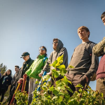 Maailman ilmastokokouksen koululaiset kuuntelivat toukokuun lopulla Pohjois-Karjalassa ohjeita miten istuttaa puun taimia.