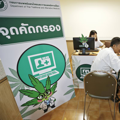 Potilaita saattajineen lääkekannabisklinikalla.