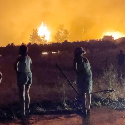 Flera människor står och tittar på en skogsbrand i Limni i Grekland.
