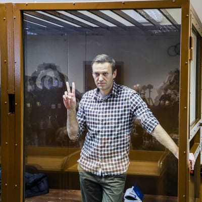 Aleksei Navalnyi lasihäkissä oikeudenistunnossa Moskovassa.