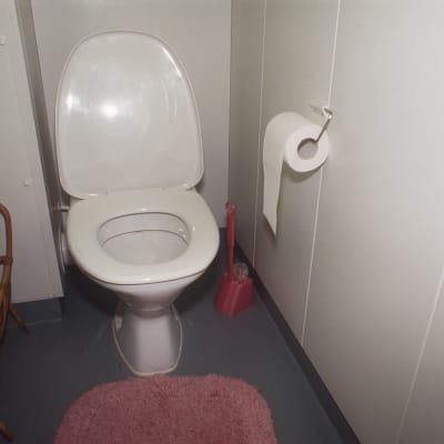 En wc-sits i en liten toalett.