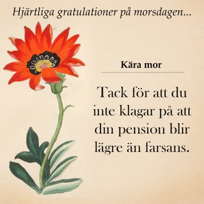 Tack för att du inte klagar på att din pension blir lägre än farsans.