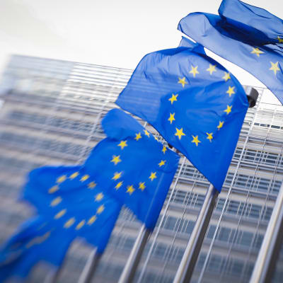 EU:n liput liehuvat EU:n rakennuksen ulkopuolella Brysselissä.