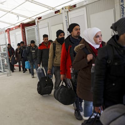 Siirtolaisia odottamassa vastaanottokeskukseen pääsyä Itävallan ja Slovenian rajalla.