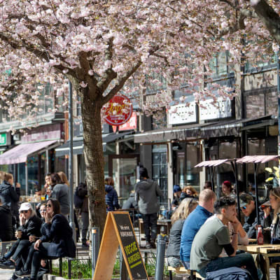 Ihmiset istuvat kahvilan terassilla Tukholmassa.