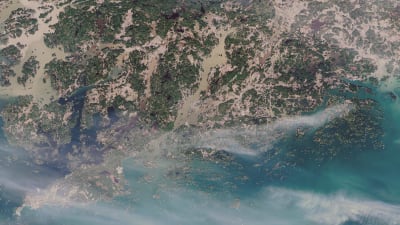 En satellitbild över Raseborg och Hangö där alla vattendrag ser bruna ut i jämförelse med det öppna havet (Finska viken).
