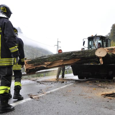 Palokunta siirtää pois tielle kaatunutta puuta Italian pohjoisosissa sijaitsevassa Lilianessa. Puu kaatui auton päälle surmaten kaksi ihmistä.