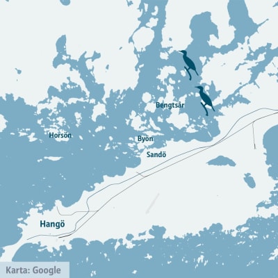 En bild på en karta som pekar ut var de besökta skarvöarna finns