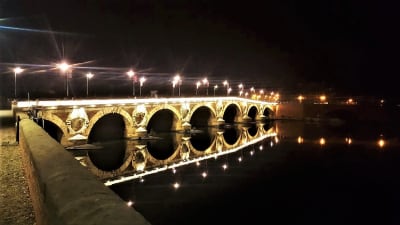 Bild på bron Pont Neuf Toulouse
