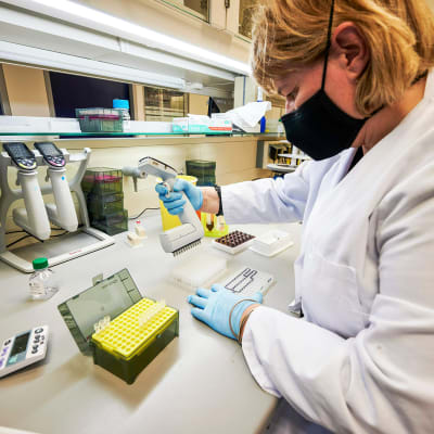Tutkija sekvensoi positiivisia koronavirusnäytteitä islantilaisessa laboratoriossa.