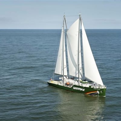 Rainbow Warrior. 