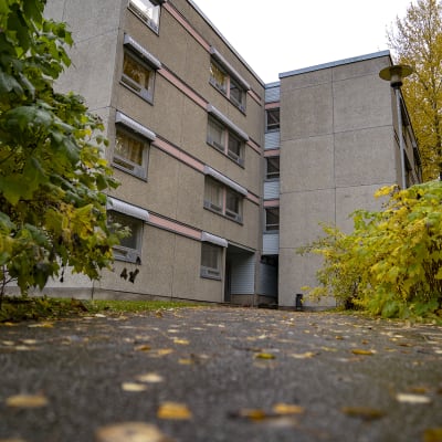 Kuopio koulusurma kukat