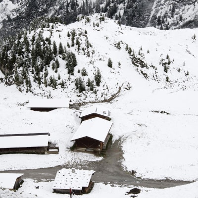 Kuvassa on luminen maa Tirolissa.