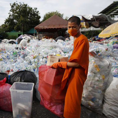 Kuvassa on munkki, joka lajittelee kierrätettävää muovijätettä.