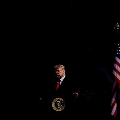 Donald Trump tummasävyisessä kuvassa.
