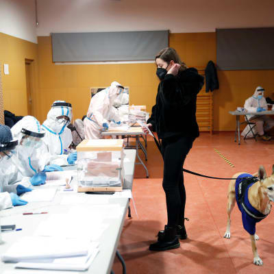 Koiransa kanssa äänestämässä oleva nainen antaa äänestyslappunsa vaalivirkailijoille.