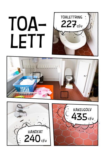 Bilder olika ytor på toaletten på daghemmet och hur mycket bakterier de samlar: toalettring 227 cfu, handfat 240 cfu, golvet 435 cfu.