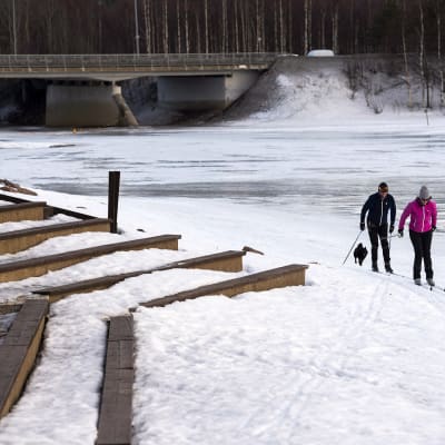 Hiihtäjiä Rovaniemellä Ounasjoen rannalla.