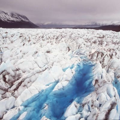 Klimatförändringen ett hot mot Arktisområdet.