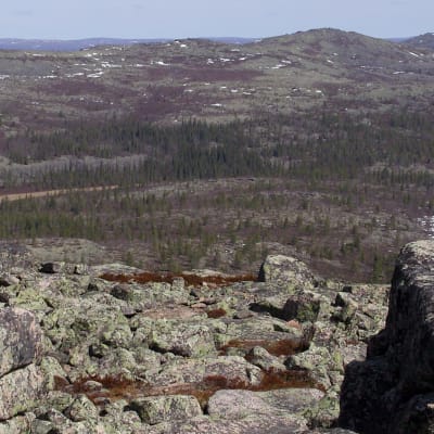Kevätkesän näkymä Pyhä-Nattaselta koilliseen, Sompion luonnonpuistoa.