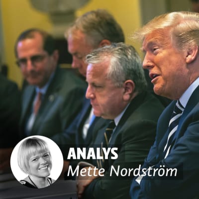 Donald Trump bland medlemmarna av sitt cabinett med händerna i kors och ett leende på läpparna.
