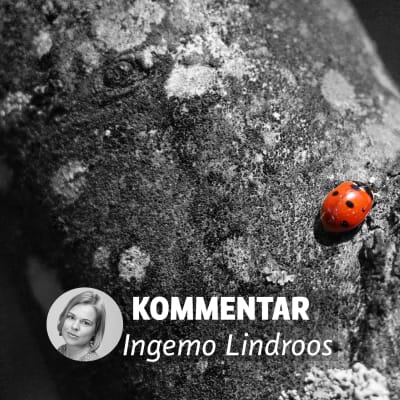 Ingemo Lindroos kommentar av SFP