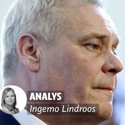 analys av Ingemo
