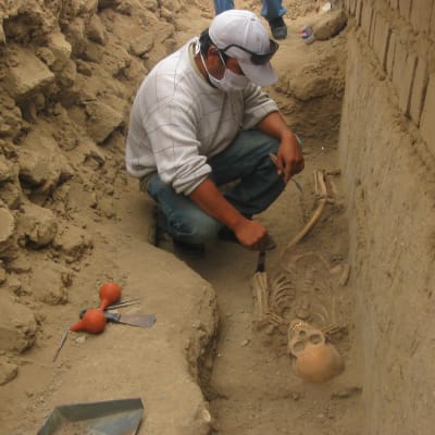 En arkeolog gräver hänsynsfyllt fram ett skelett i Peru. 