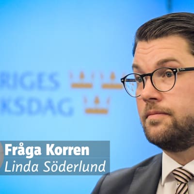 En bild på Jimmie Åkesson med analysbild och text.