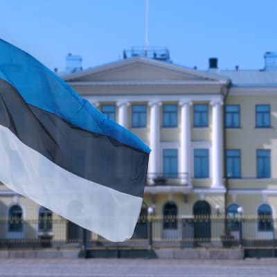 Estlands flagga framför presidentens slott i Helsingfors.