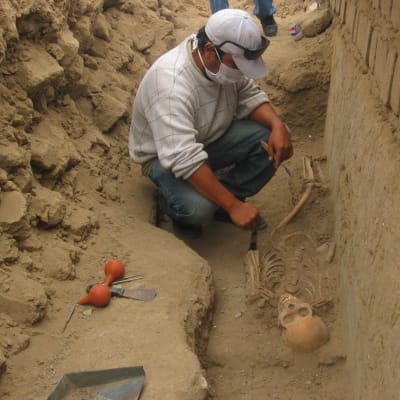 En arkeolog putsar kvarlevorna av en chimúindian som hittades begravd i Peru 14.7.2009.
