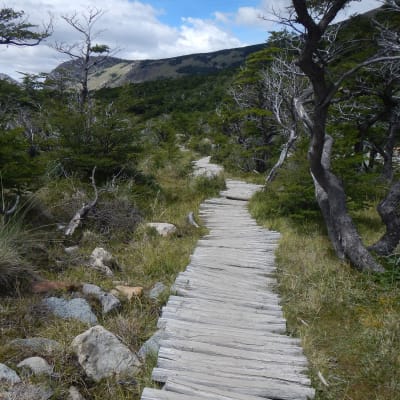 Patagonien