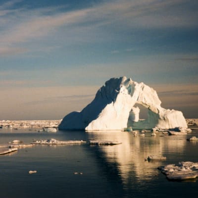 Isberg i sydvästra Grönland, Skovfjord - klimatsatsning