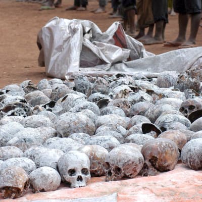 skallar från offer för folkmordet i rwanda