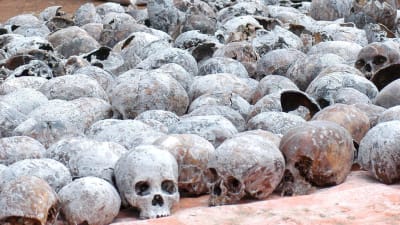 skallar från offer för folkmordet i rwanda
