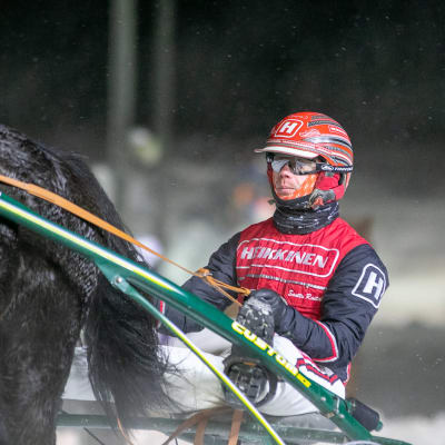 Santtu Raitala ohjaksissa. Kauden 400. ravivoitto plakkarissa. 