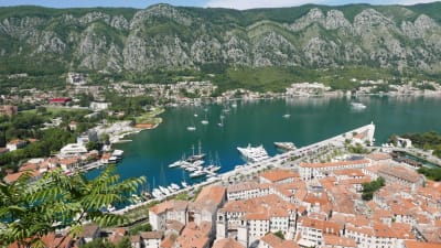vy över Kotorbukten i Kroatien