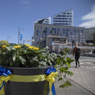 Ukrainan lipun väreillä koristeltu kukka-astia Tampereen areenan edustalla. 