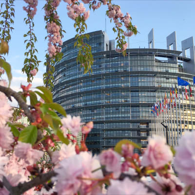 EU-parlamentet i Strasbourg