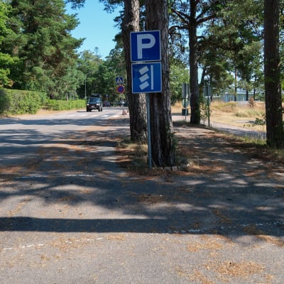 Bild av skylt som tillåter snedparkering. 