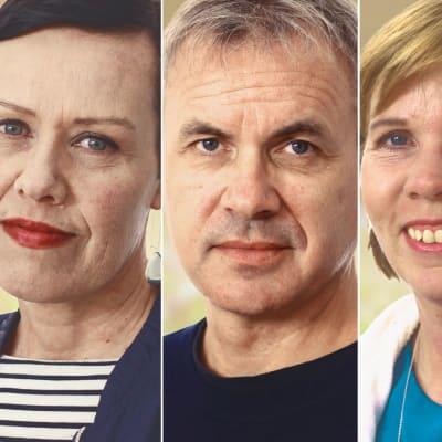 Kollage av Maarit Feldt-Ranta, Stefan Vikström, Anna-Maja Henriksson och David Björkström