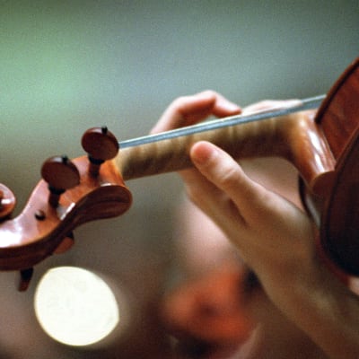 viulistin käsi