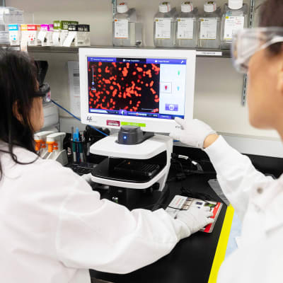 Tutkija tutkivat koronavirusta Laboratoriossa Marylandssa.