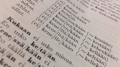 Foto av sida i finsk grammatikbok.