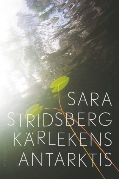 Pärmbild av Sara Stridsbergs roman Kärlekens antarktis