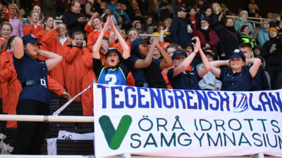 Tegengrenskolan på Stafettkarnevalen.